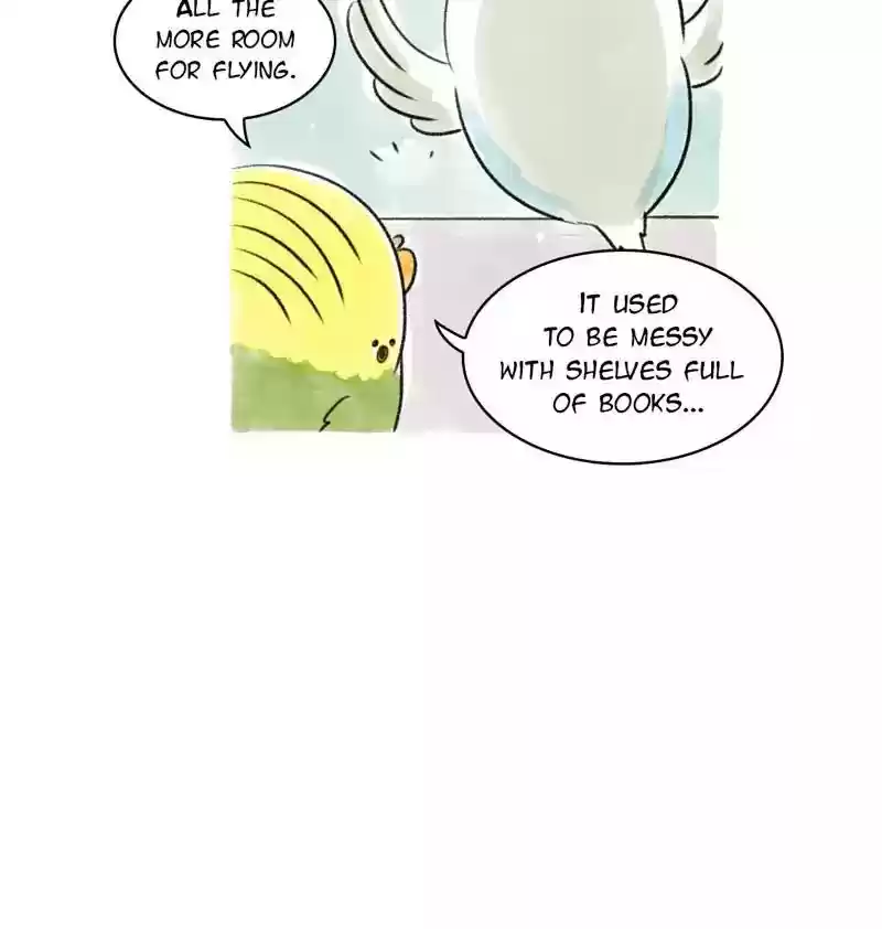 A Budgie's Life Chapter 96: Ep.96: