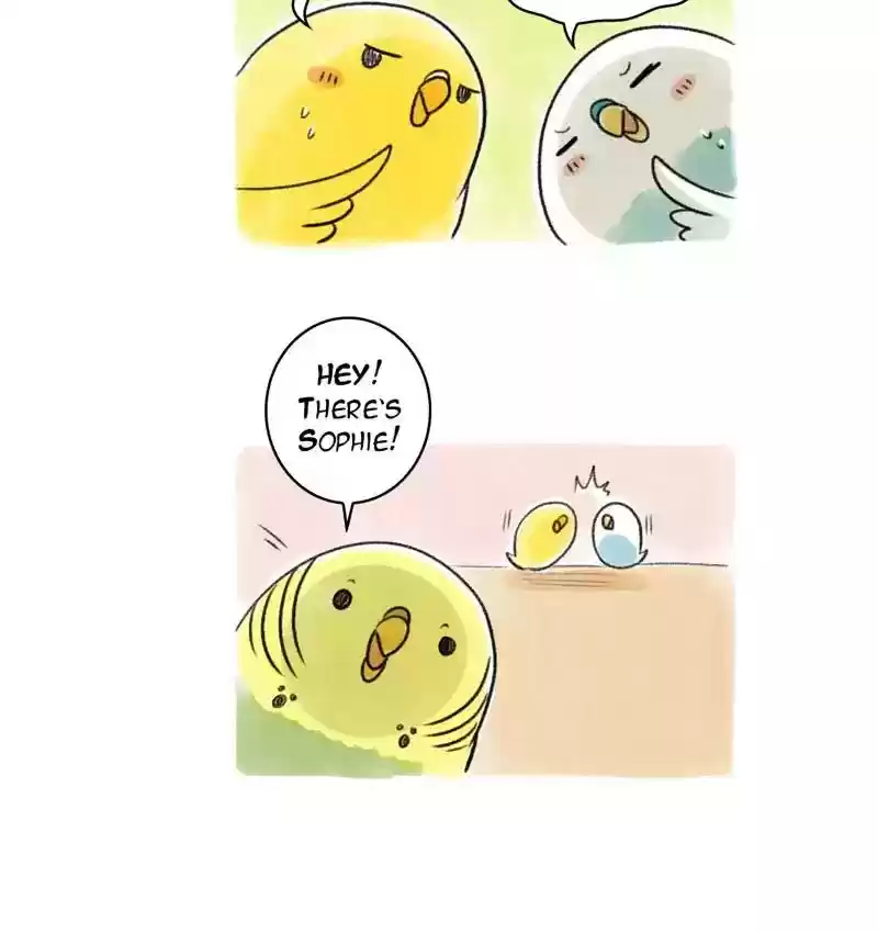 A Budgie's Life Chapter 96: Ep.96:
