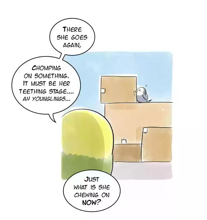 A Budgie's Life Chapter 96: Ep.96: