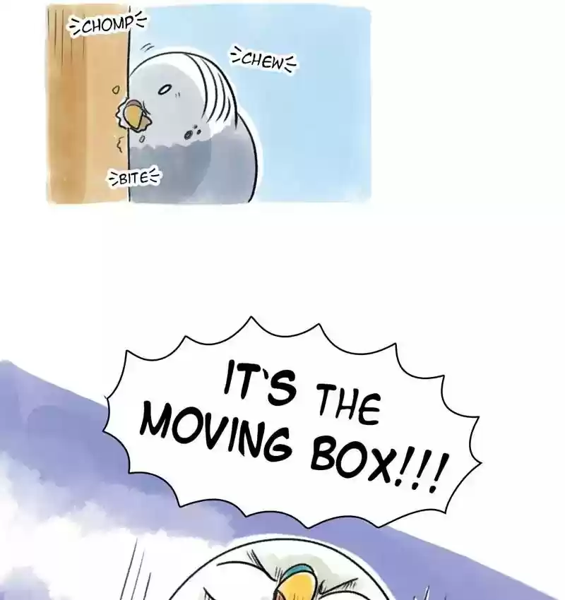 A Budgie's Life Chapter 96: Ep.96: