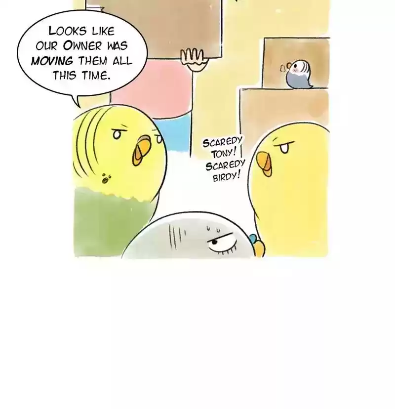 A Budgie's Life Chapter 96: Ep.96: