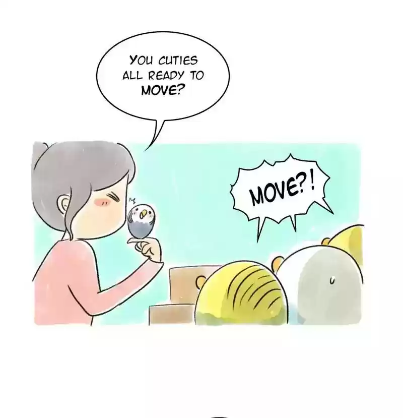 A Budgie's Life Chapter 96: Ep.96: