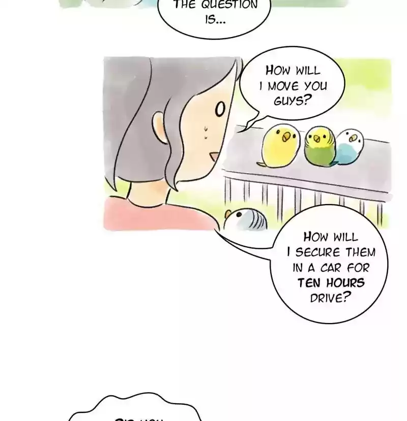 A Budgie's Life Chapter 96: Ep.96: