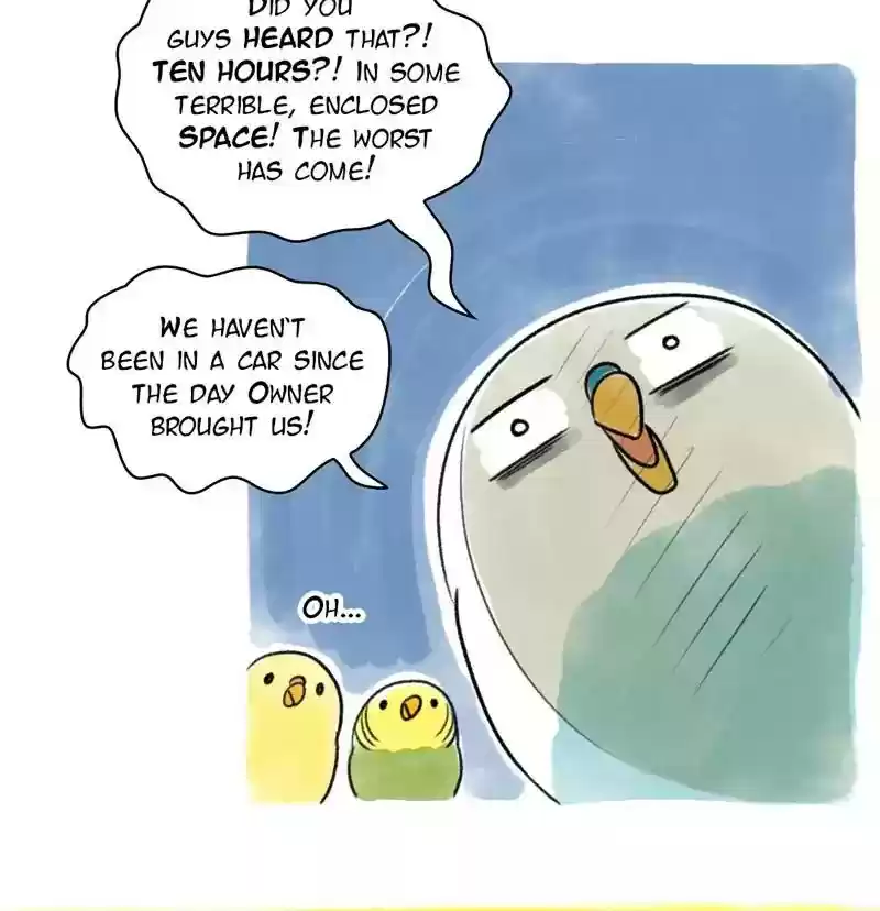 A Budgie's Life Chapter 96: Ep.96: