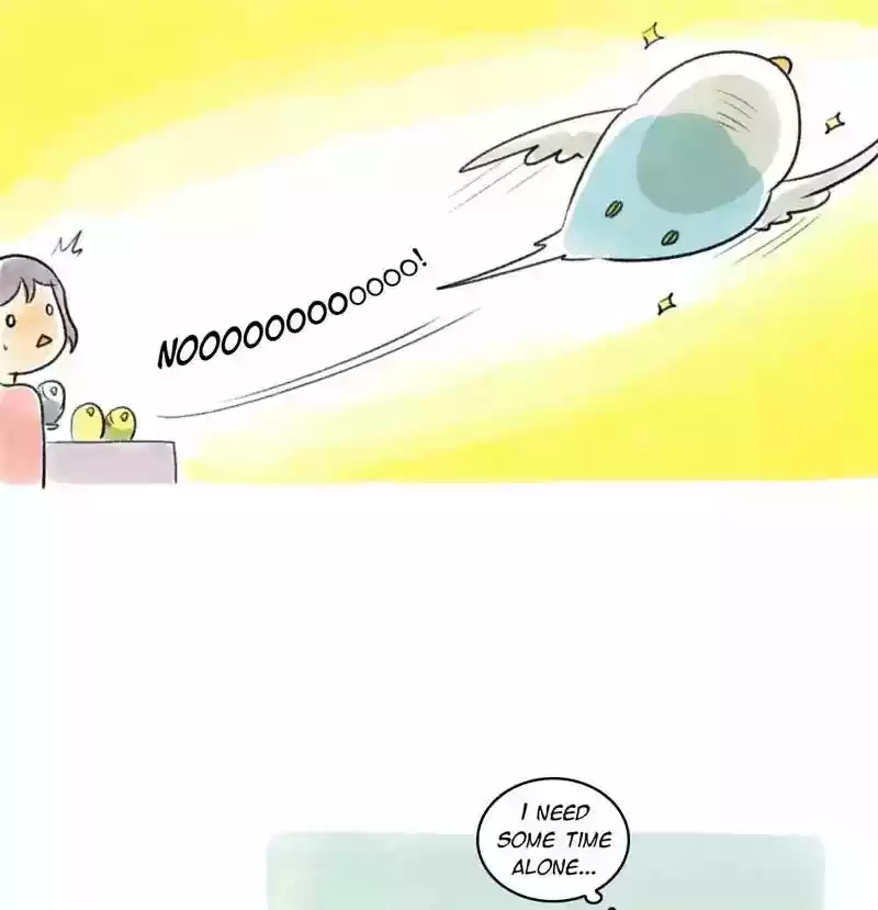 A Budgie's Life Chapter 96: Ep.96: