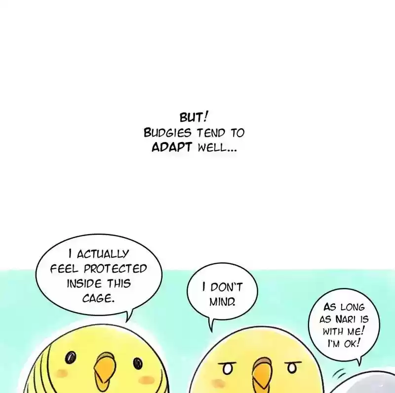 A Budgie's Life Chapter 96: Ep.96: