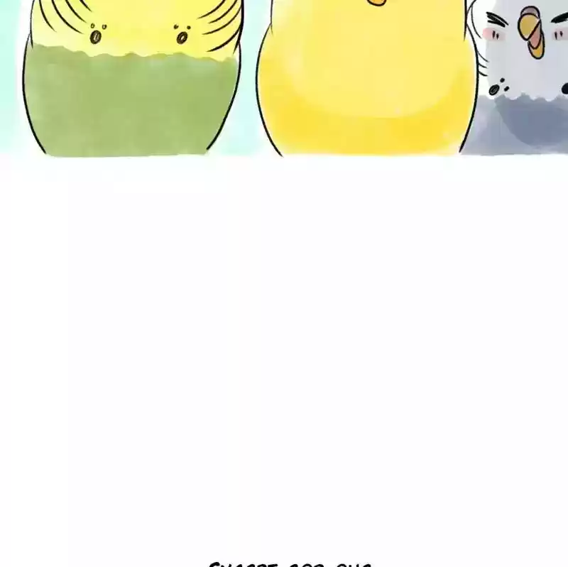 A Budgie's Life Chapter 96: Ep.96: