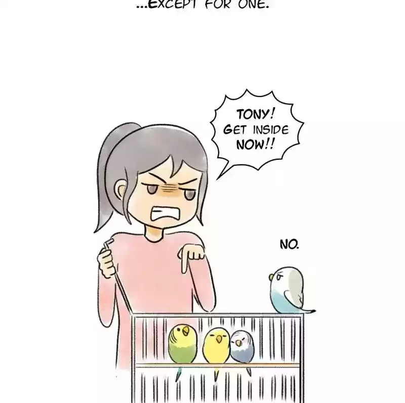 A Budgie's Life Chapter 96: Ep.96: