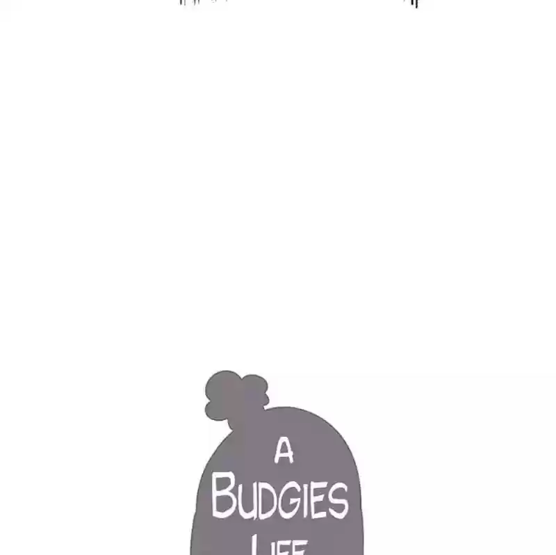 A Budgie's Life Chapter 96: Ep.96: