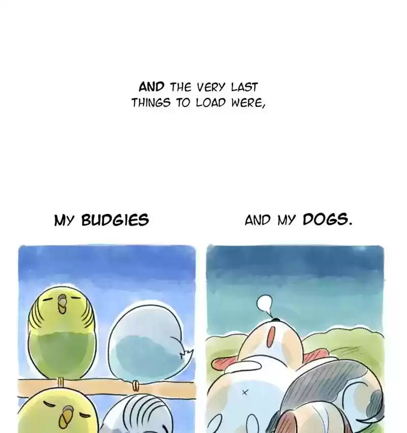A Budgie's Life Chapter 97: Ep.97: