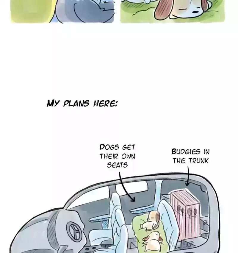 A Budgie's Life Chapter 97: Ep.97: