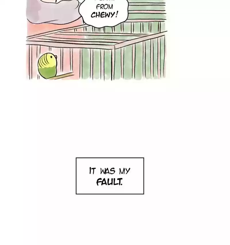 A Budgie's Life Chapter 97: Ep.97: