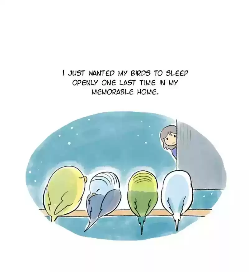 A Budgie's Life Chapter 97: Ep.97: