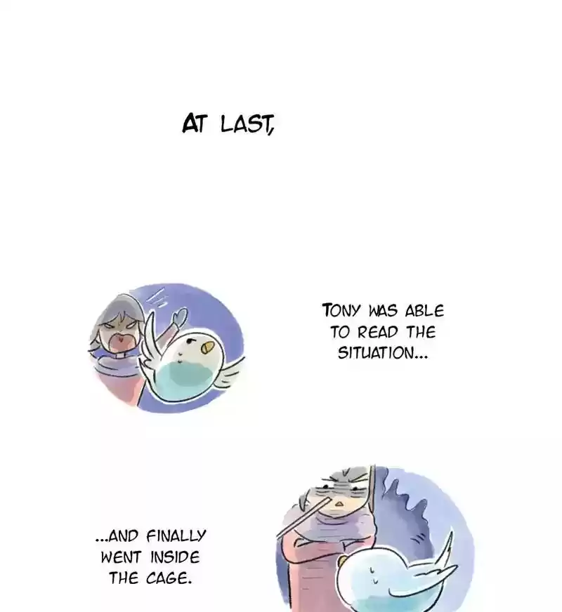 A Budgie's Life Chapter 97: Ep.97: