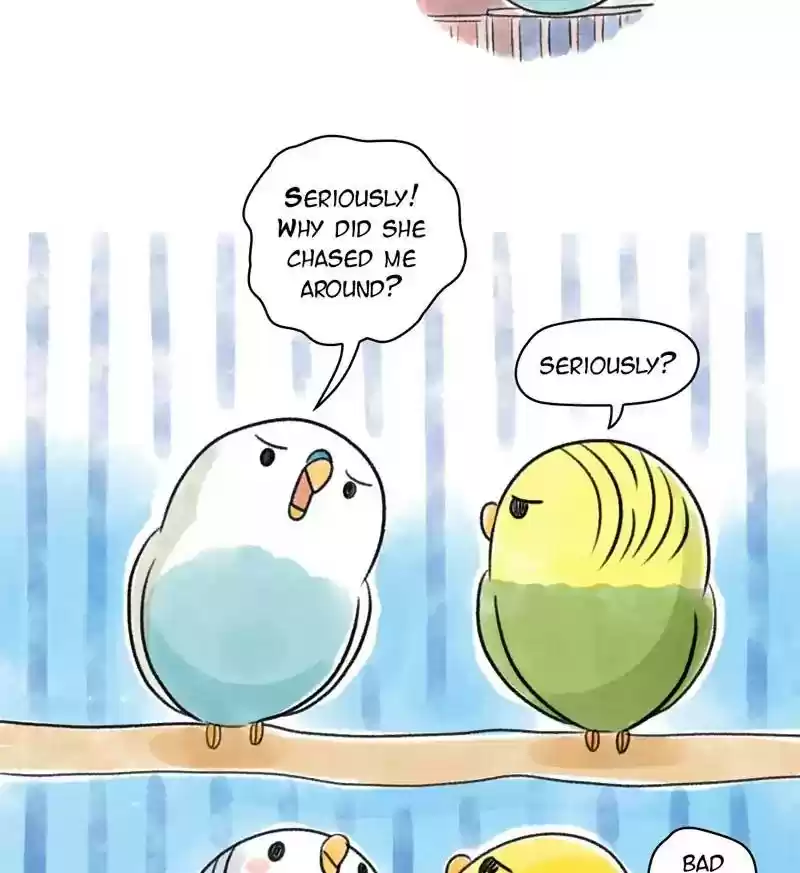 A Budgie's Life Chapter 97: Ep.97: