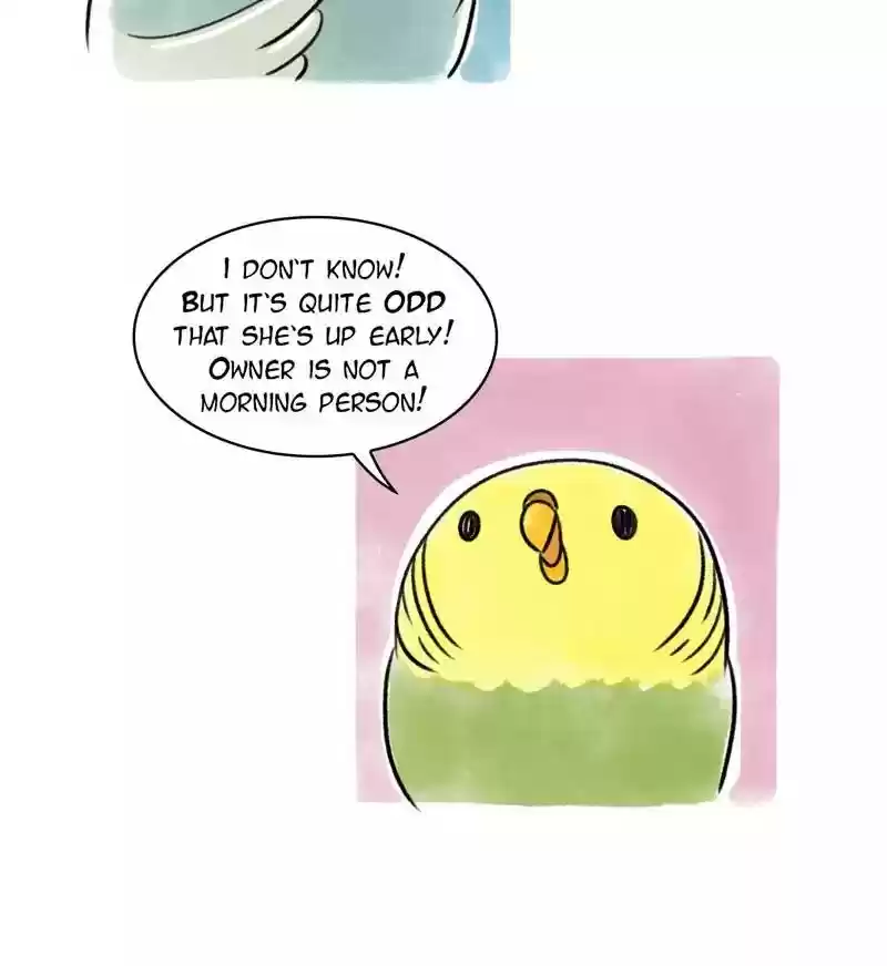 A Budgie's Life Chapter 97: Ep.97: