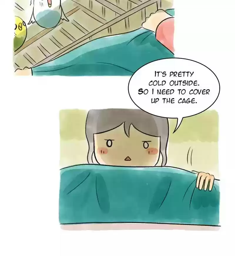 A Budgie's Life Chapter 97: Ep.97: