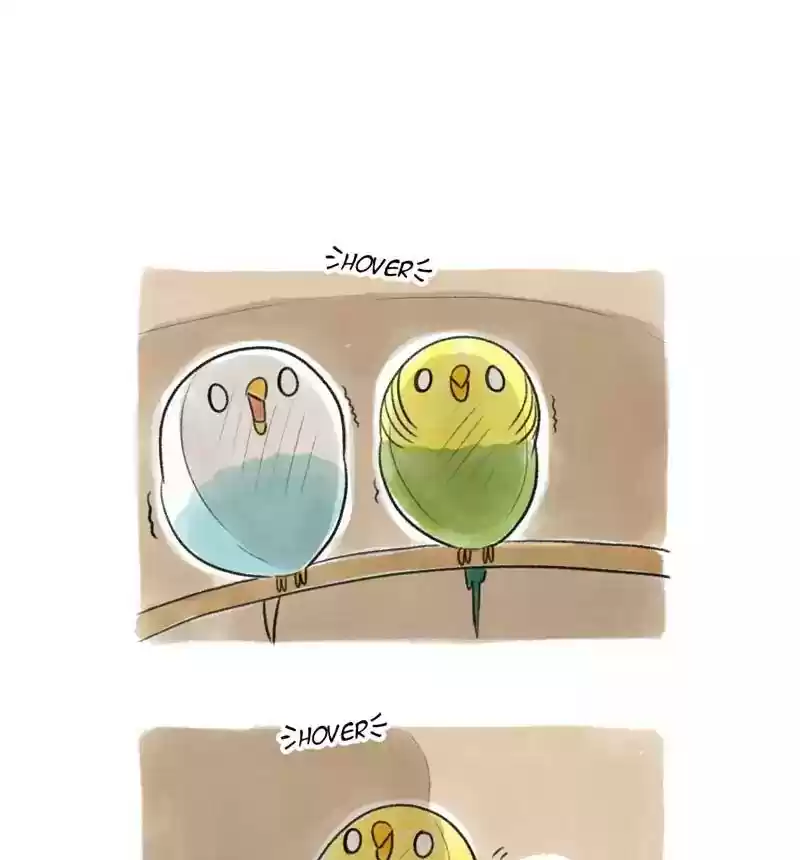 A Budgie's Life Chapter 97: Ep.97: