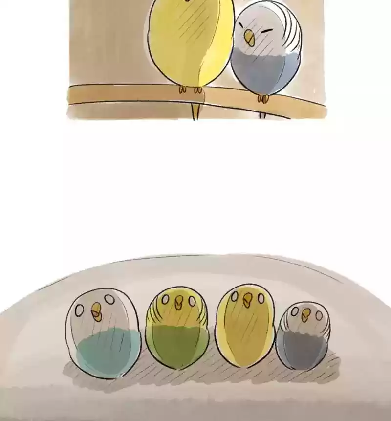A Budgie's Life Chapter 97: Ep.97: