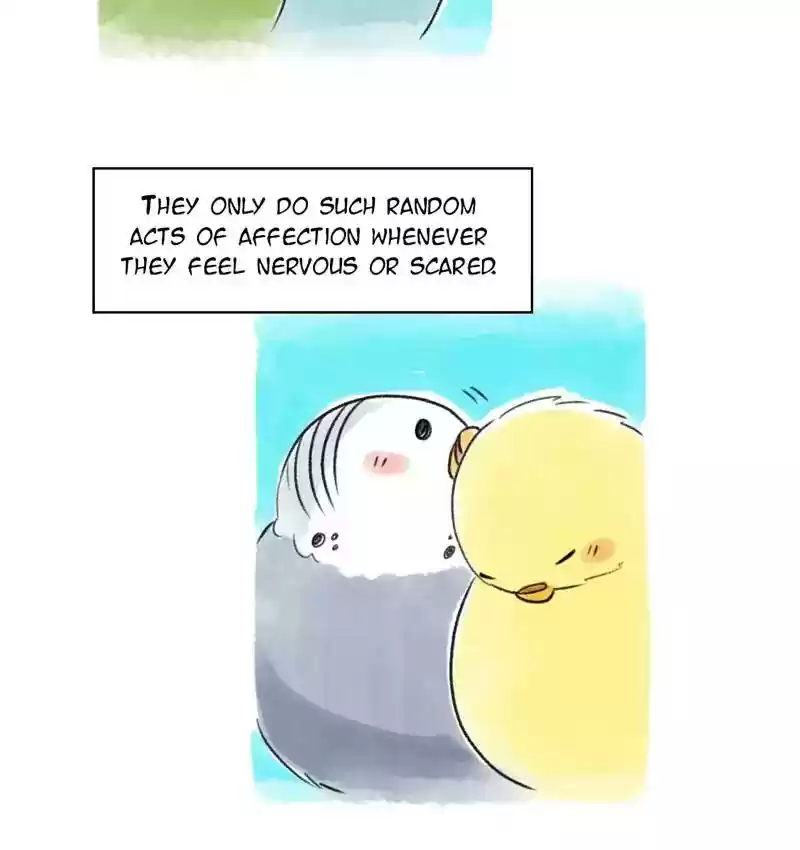 A Budgie's Life Chapter 97: Ep.97: