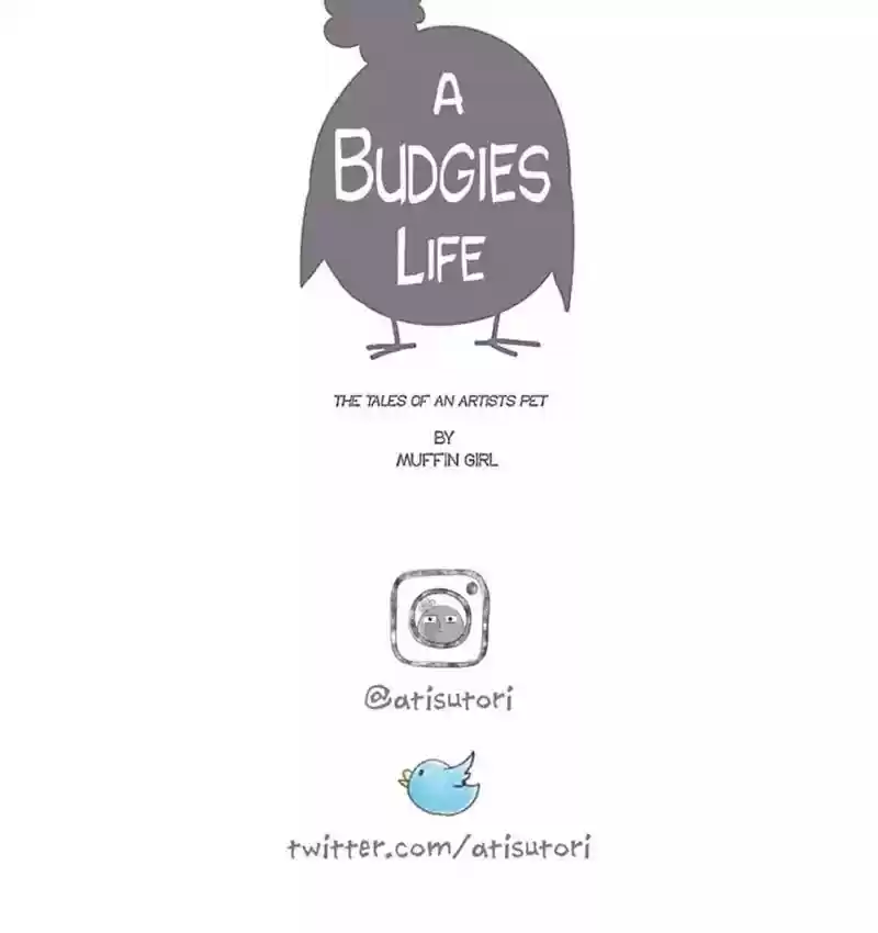 A Budgie's Life Chapter 97: Ep.97:
