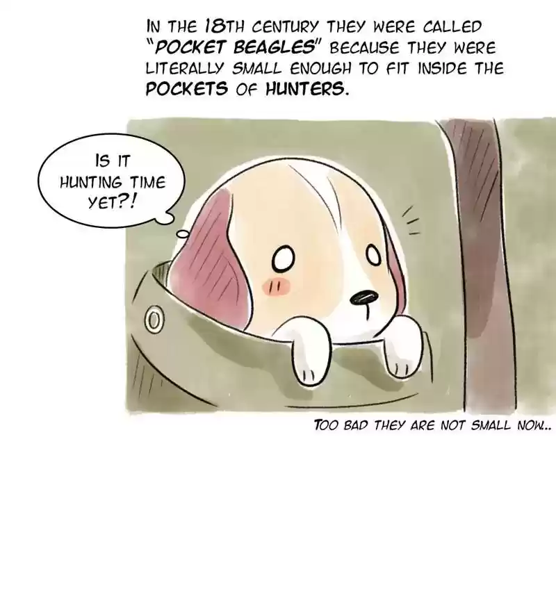 A Budgie's Life Chapter 98: Ep.98: