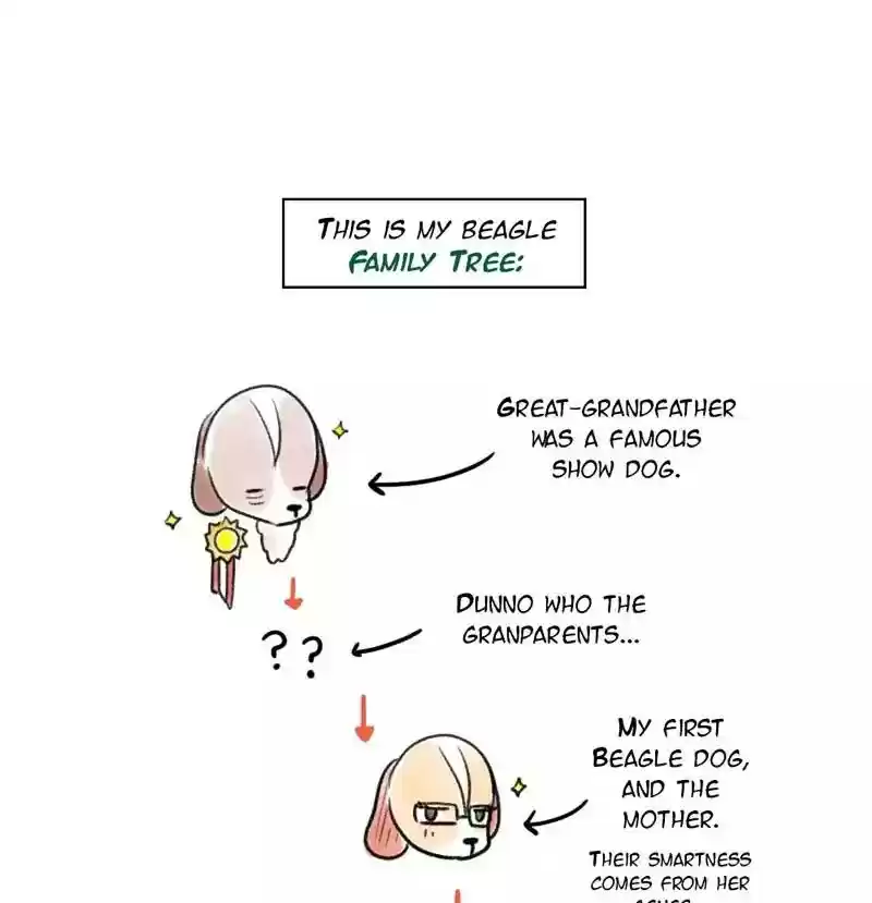 A Budgie's Life Chapter 98: Ep.98: