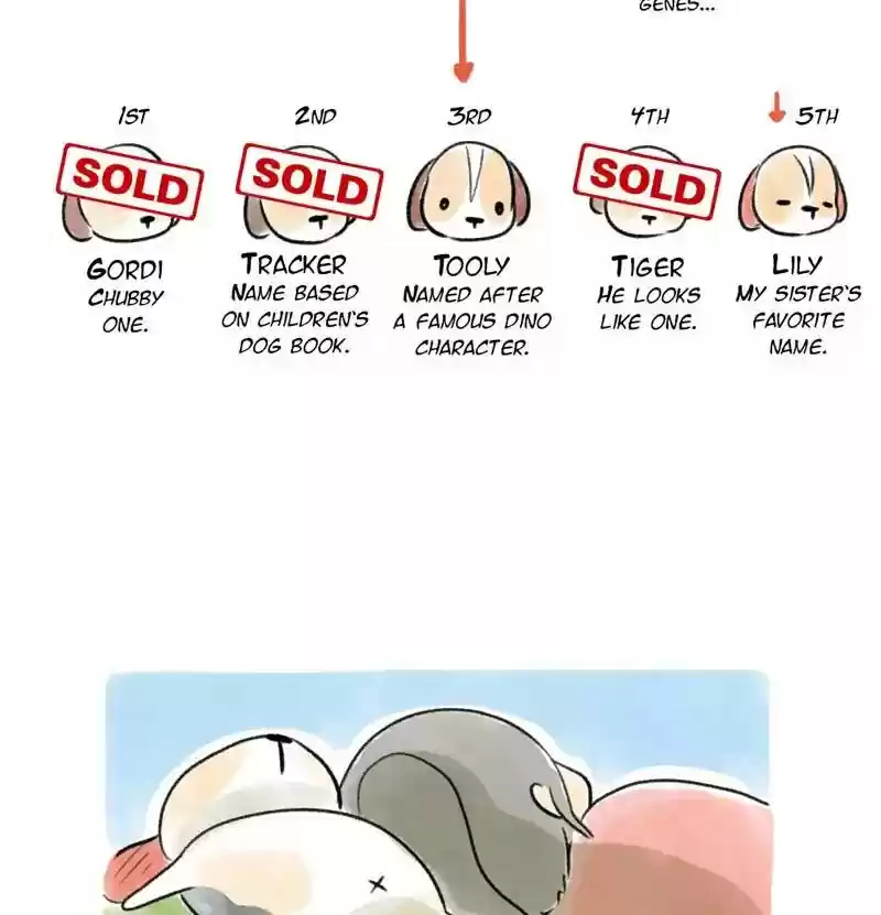 A Budgie's Life Chapter 98: Ep.98: