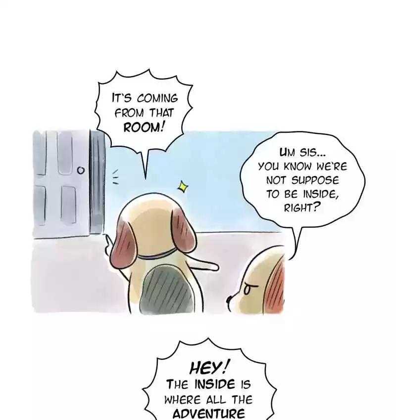 A Budgie's Life Chapter 98: Ep.98: