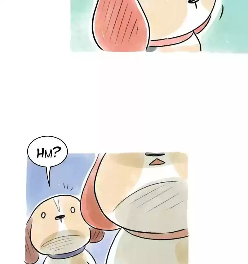 A Budgie's Life Chapter 98: Ep.98: