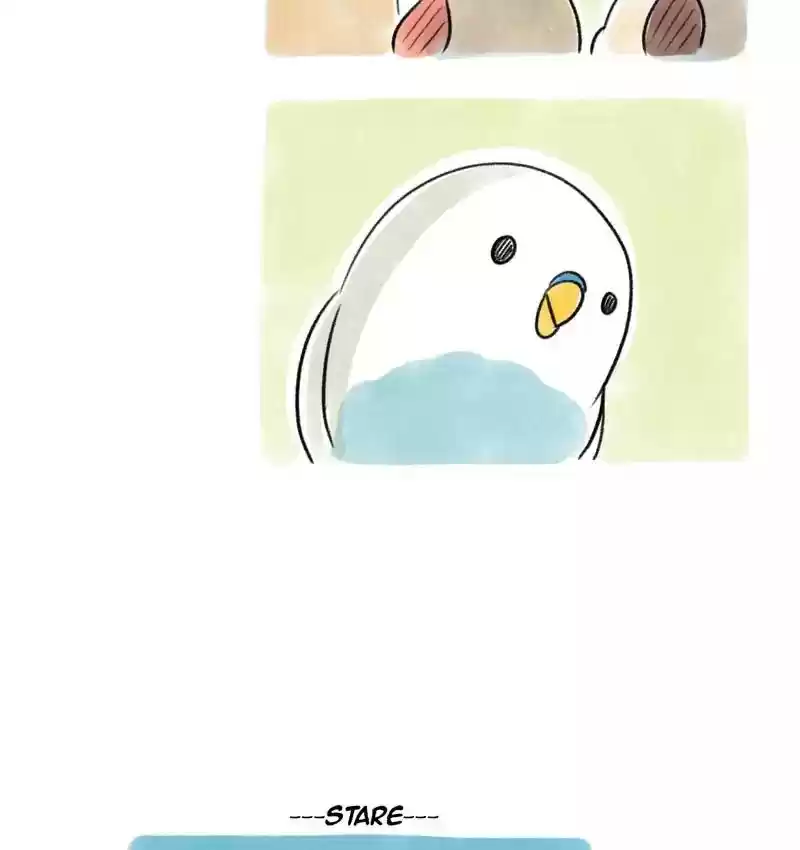 A Budgie's Life Chapter 98: Ep.98: