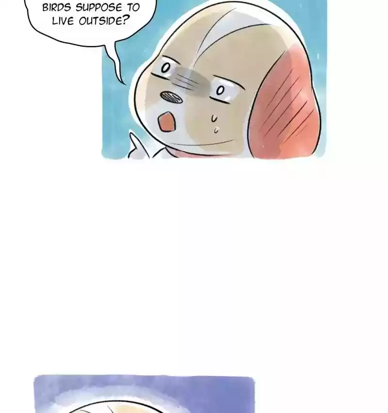 A Budgie's Life Chapter 98: Ep.98: