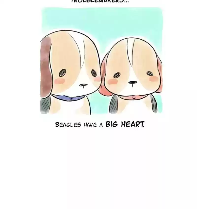 A Budgie's Life Chapter 98: Ep.98: