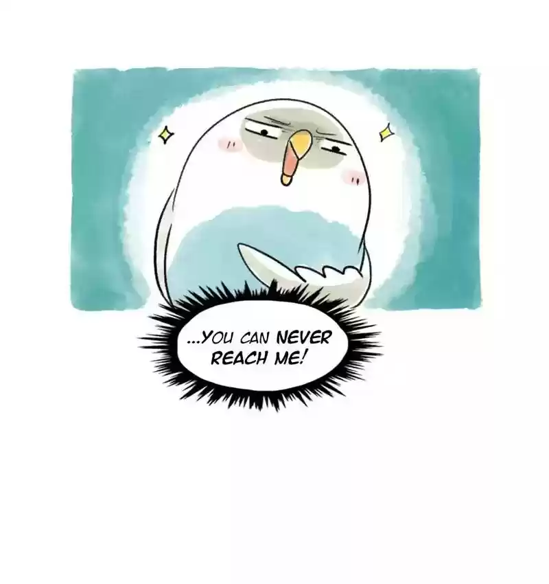 A Budgie's Life Chapter 98: Ep.98: