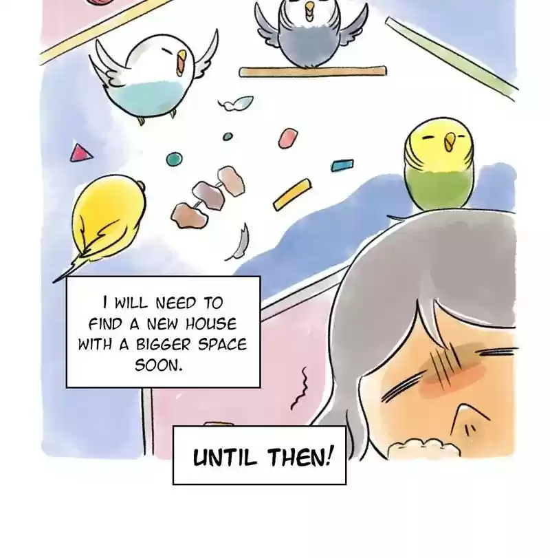 A Budgie's Life Chapter 99: Ep.99: