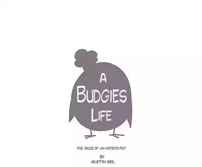 A Budgie's Life Chapter 99: Ep.99: