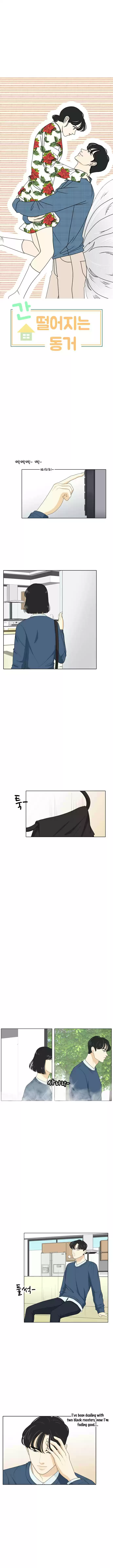 A Falling Cohabitation Ch. 40 Starting off the wrong foot