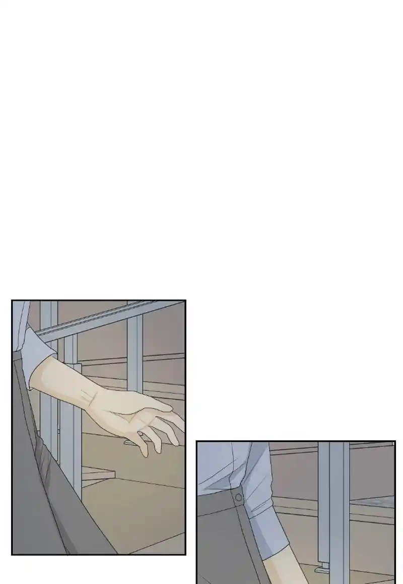 A Falling Cohabitation Chapter 146