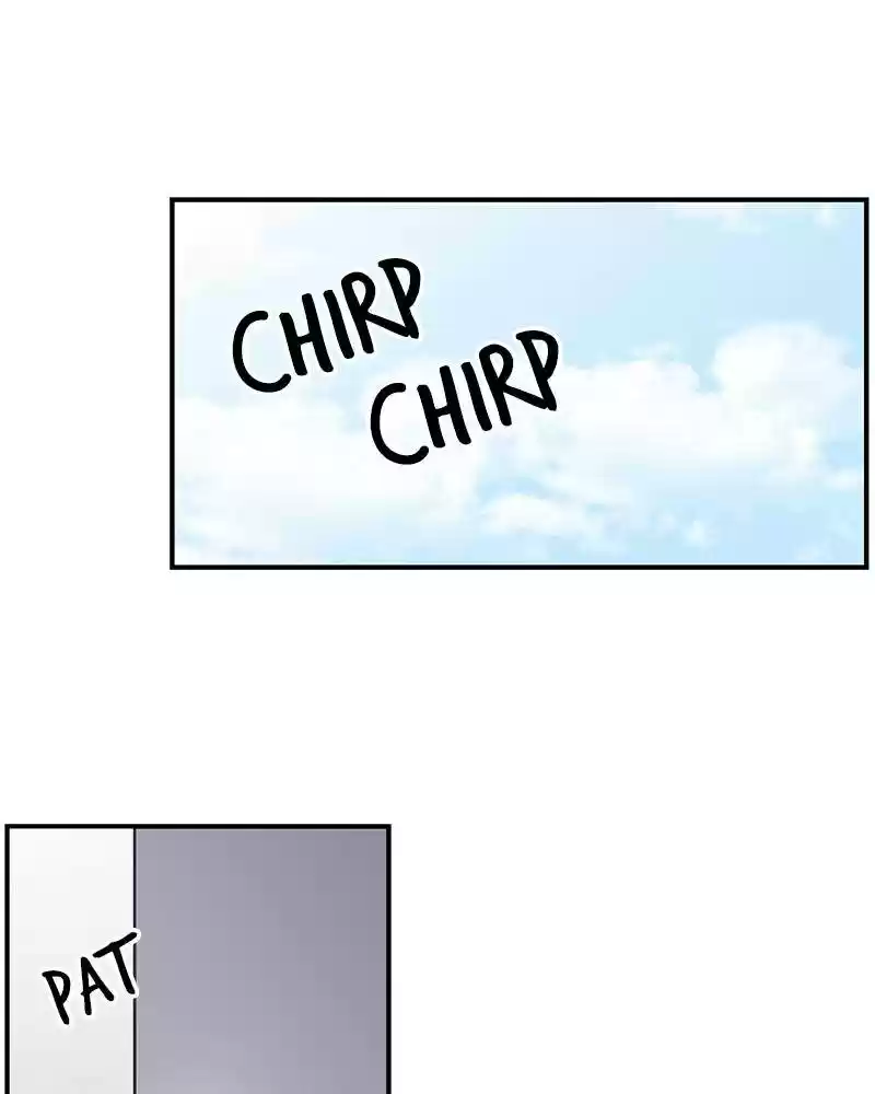 A Guide To Proper Dating Chapter 61