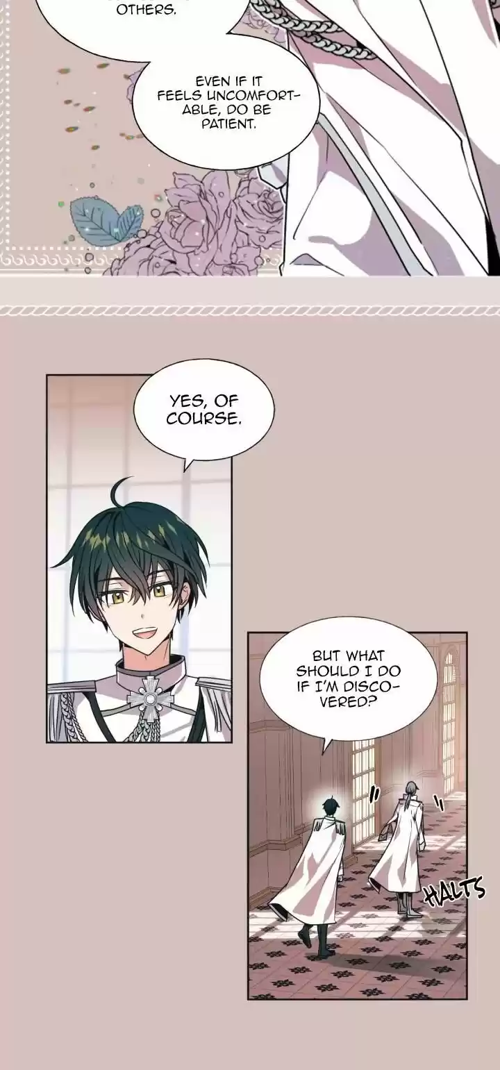 Absolute Witch Vol.12 Ch.016