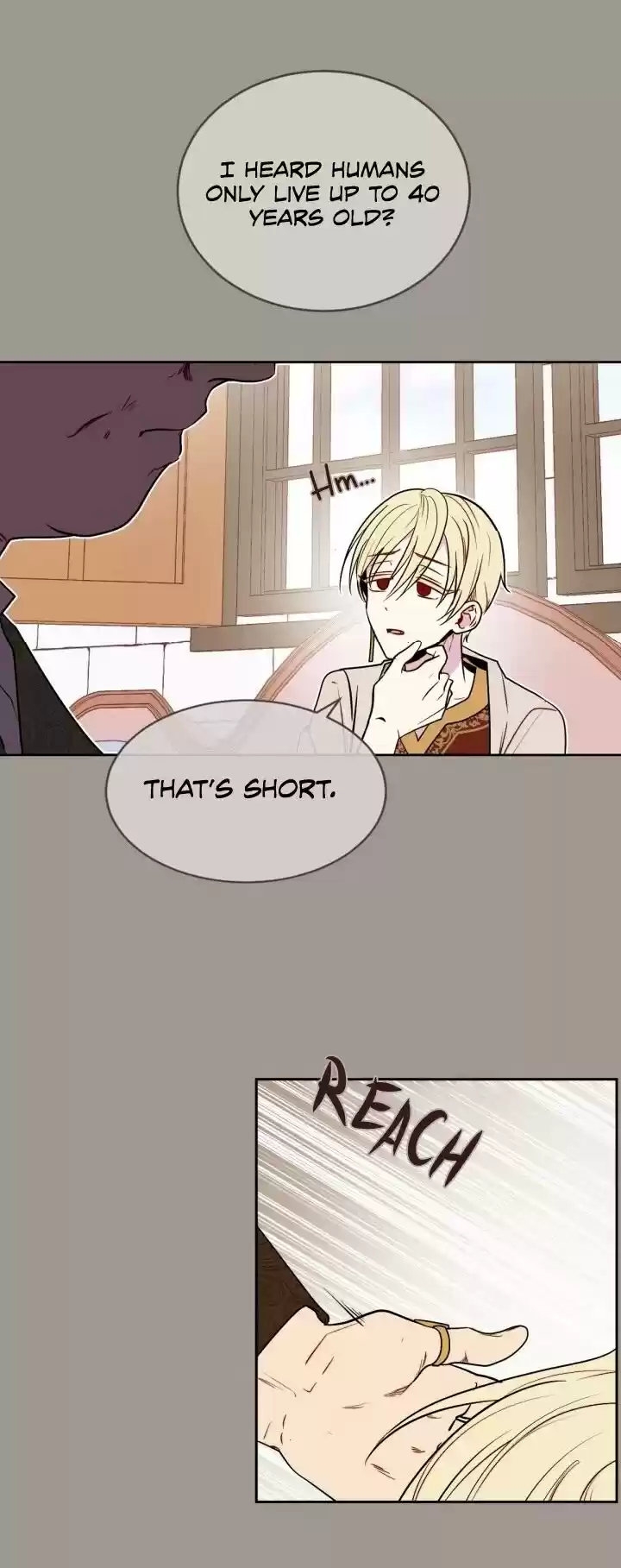 Absolute Witch Vol.12 Ch.025