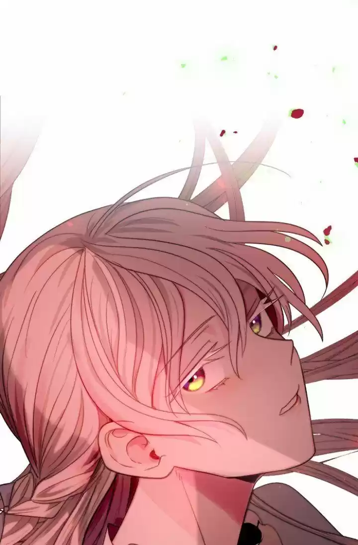 Absolute Witch Vol.12 Ch.030