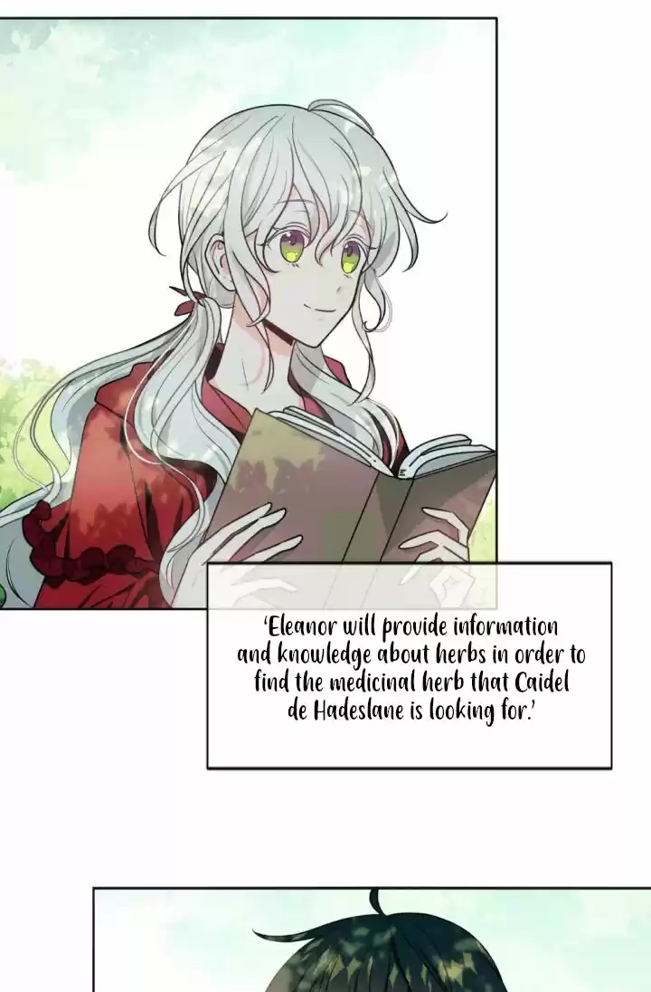 Absolute Witch Vol.12 Ch.035