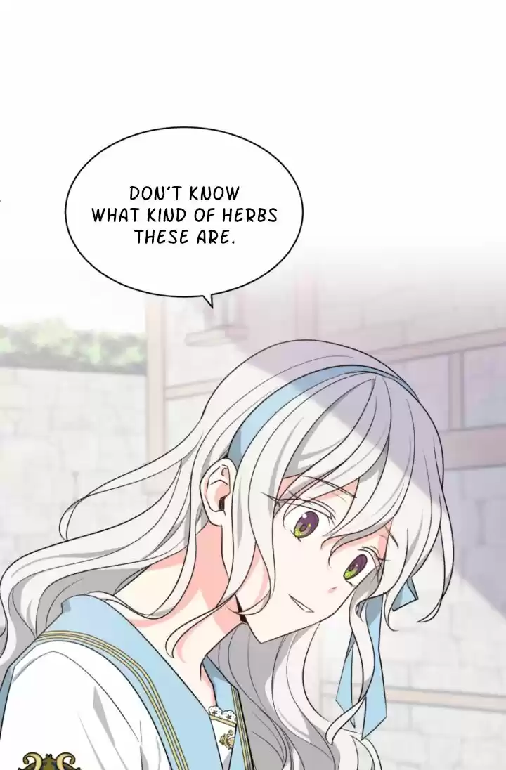 Absolute Witch Vol.12 Ch.035