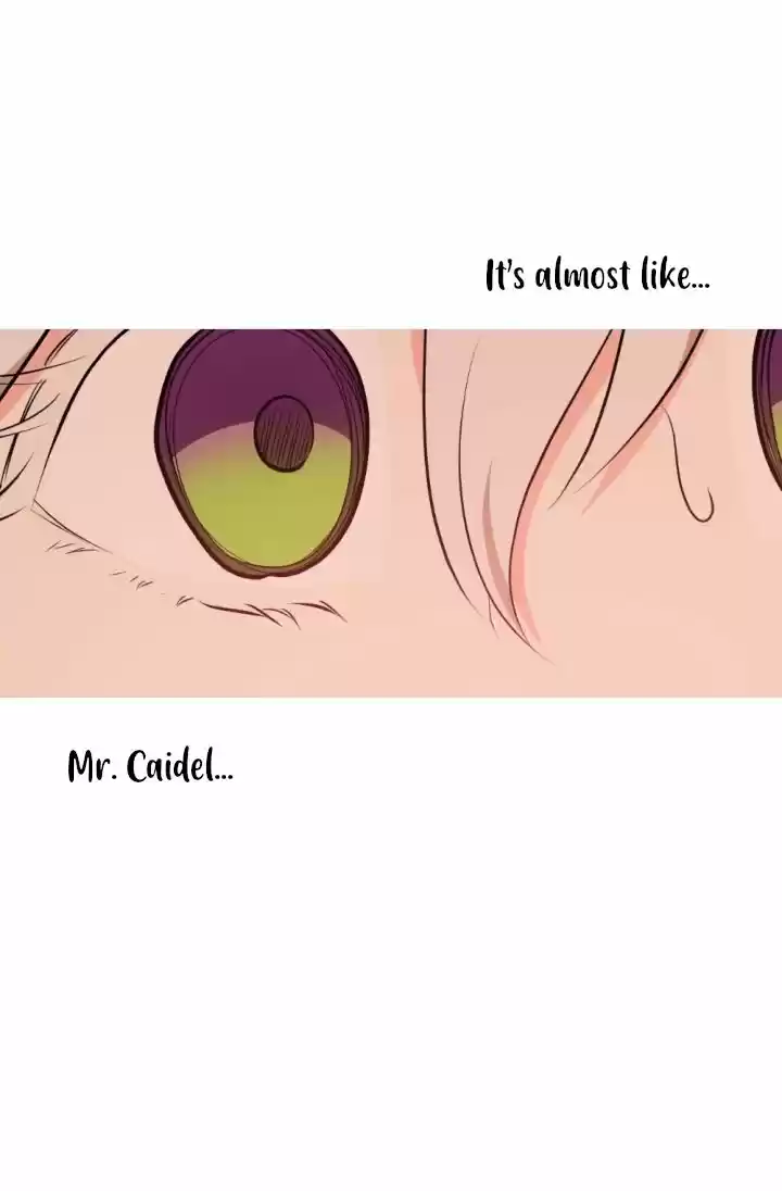 Absolute Witch Vol.12 Ch.036