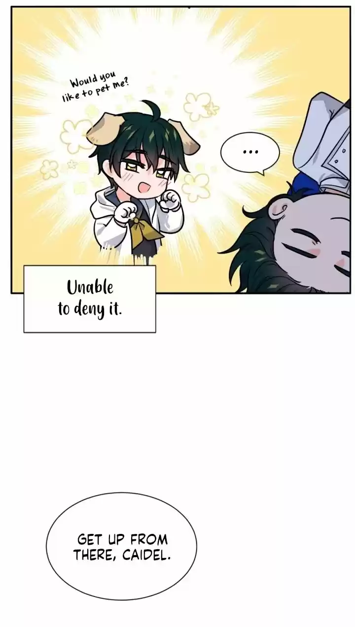 Absolute Witch Vol.12 Ch.041