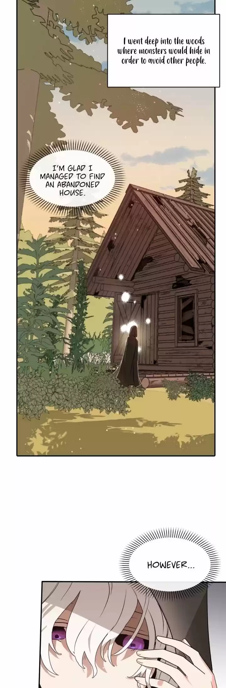 Absolute Witch Vol.12 Ch.047