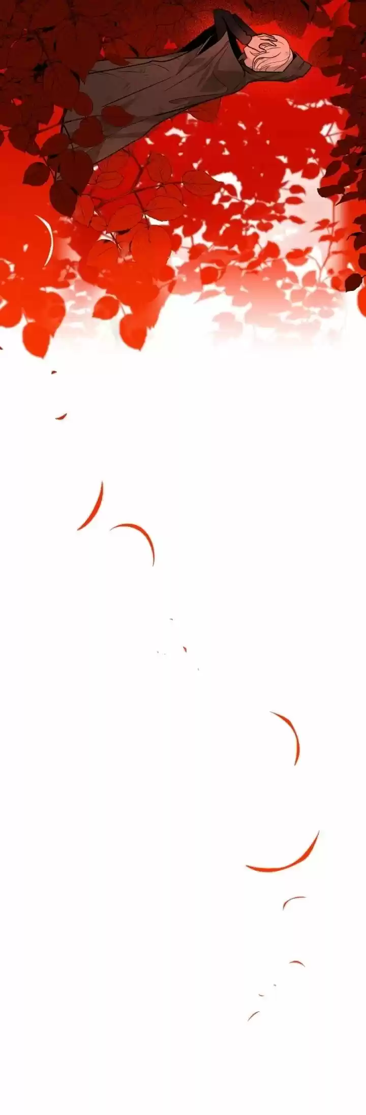 Absolute Witch Vol.12 Ch.047