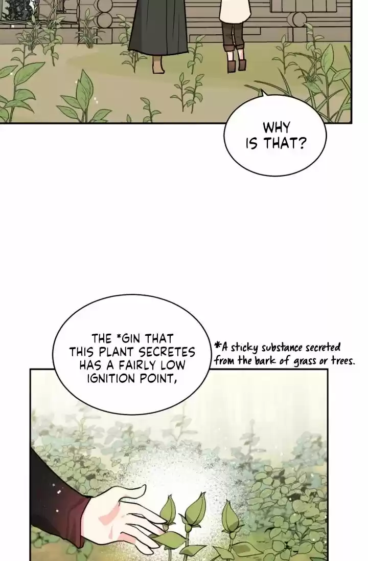 Absolute Witch Vol.12 Ch.048