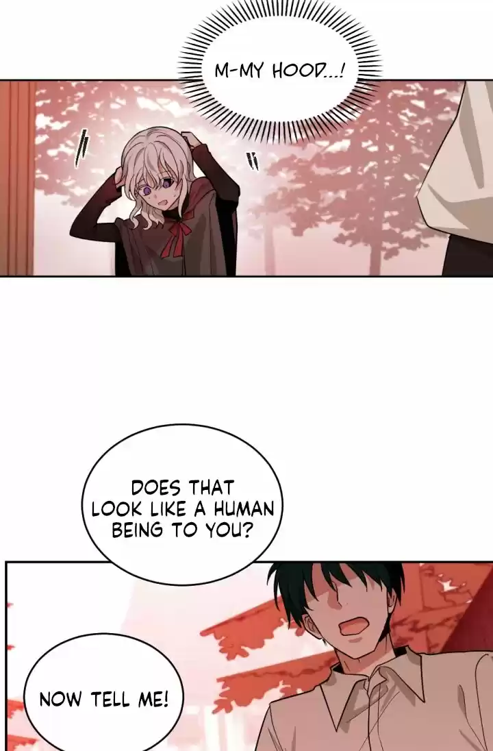 Absolute Witch Vol.12 Ch.048